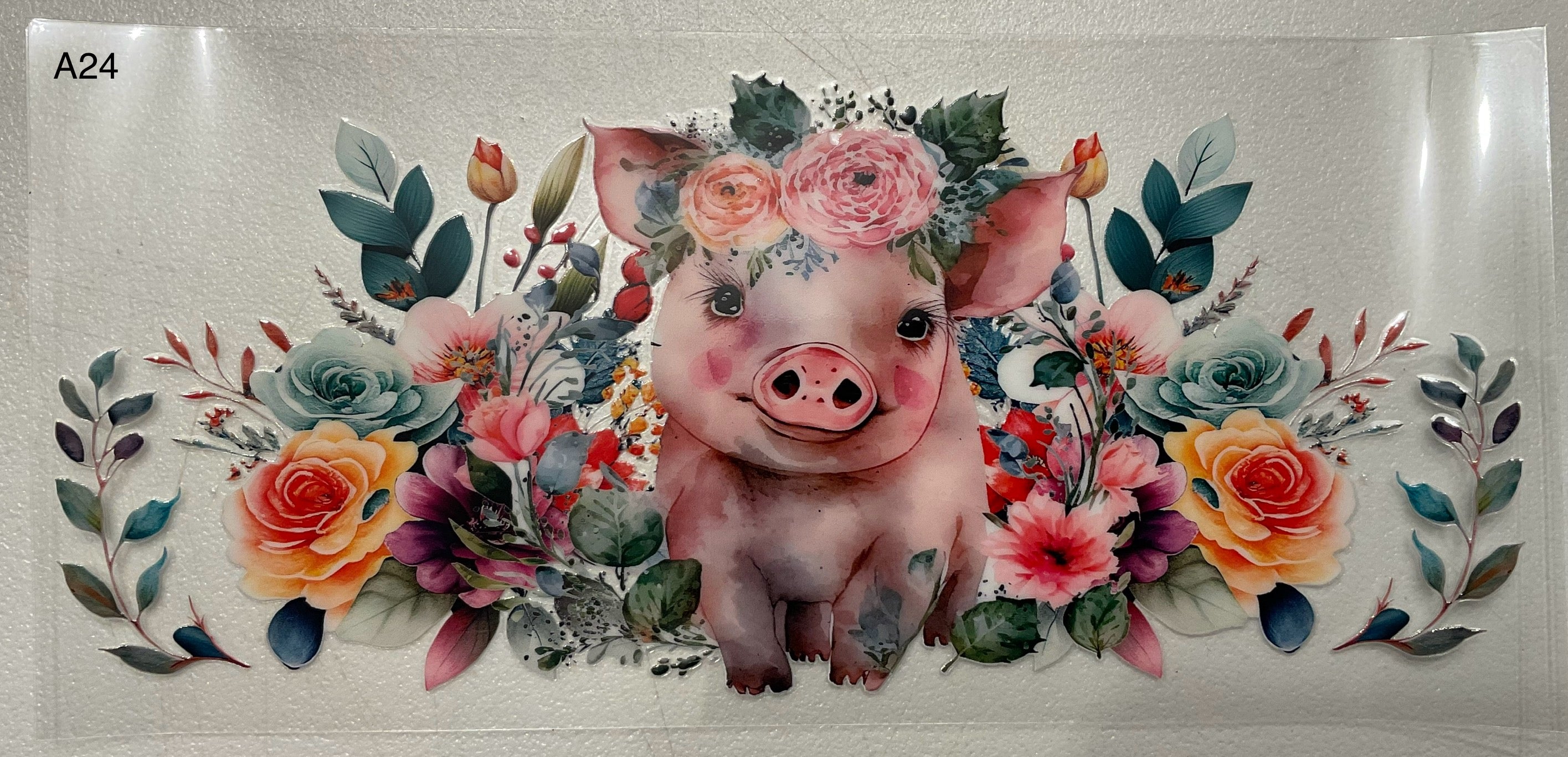 A24 Pig
