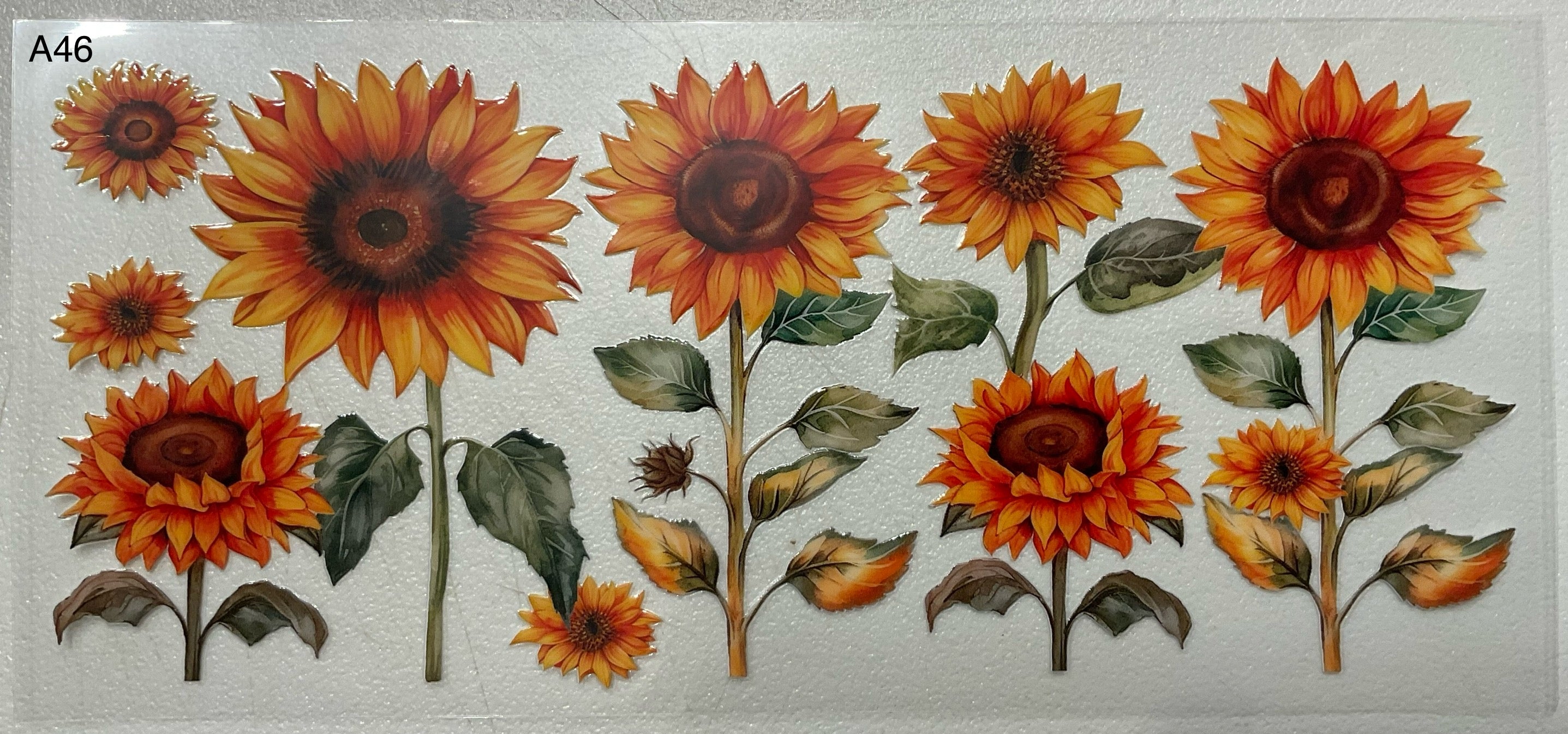 A46 Sunflowers