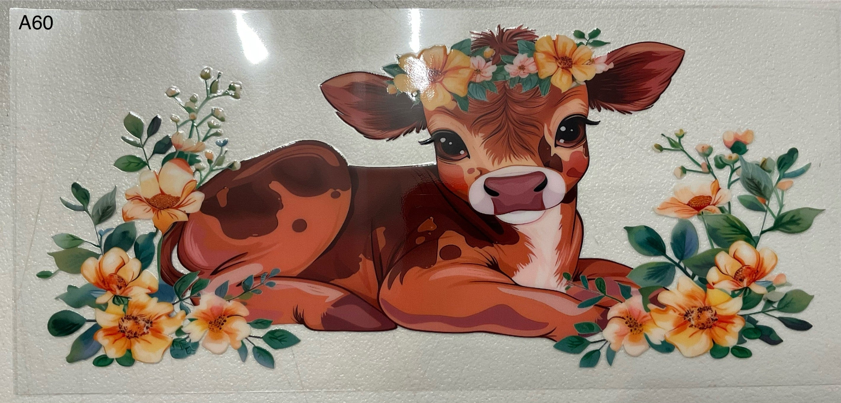 A60 Baby Cow