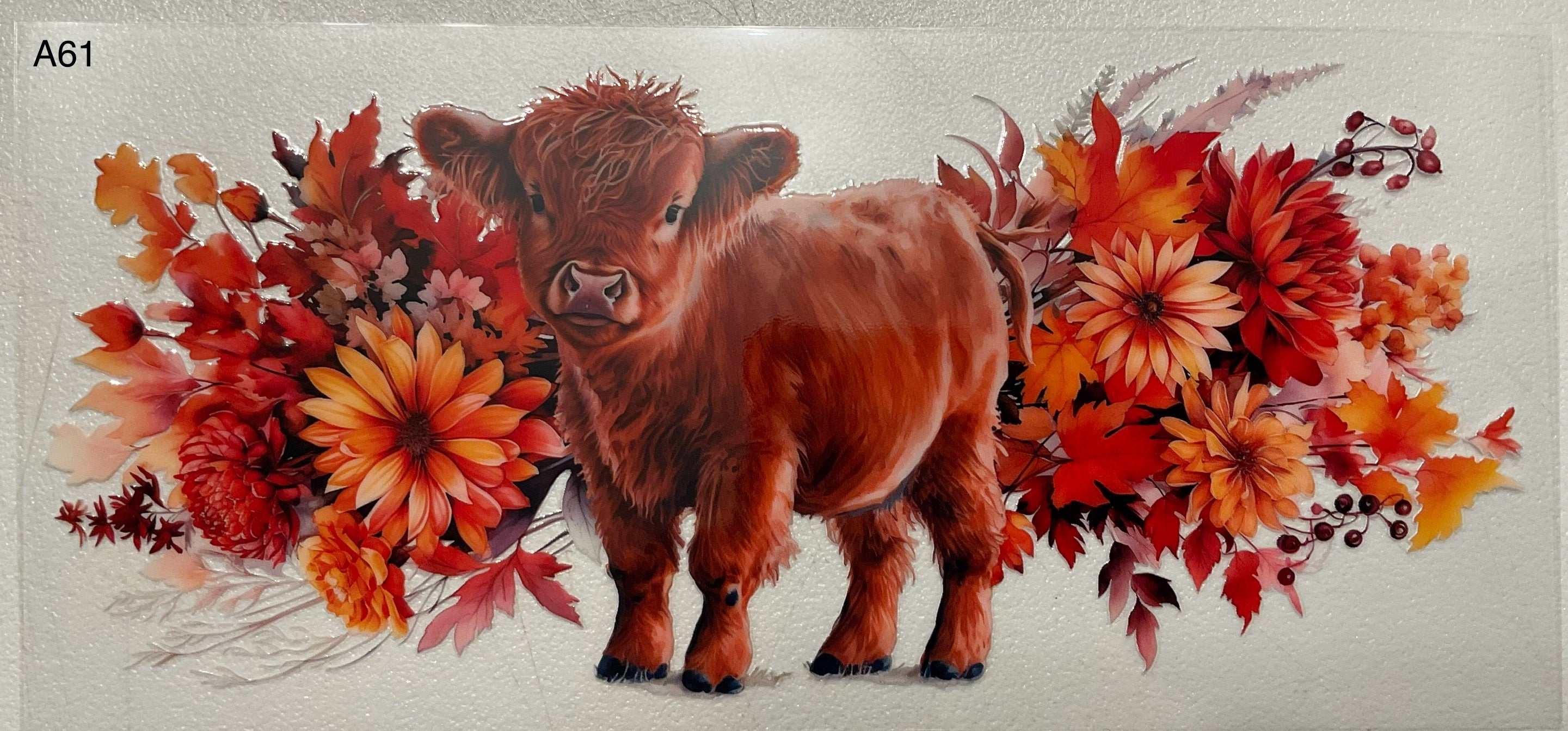 A61 Fall Cow