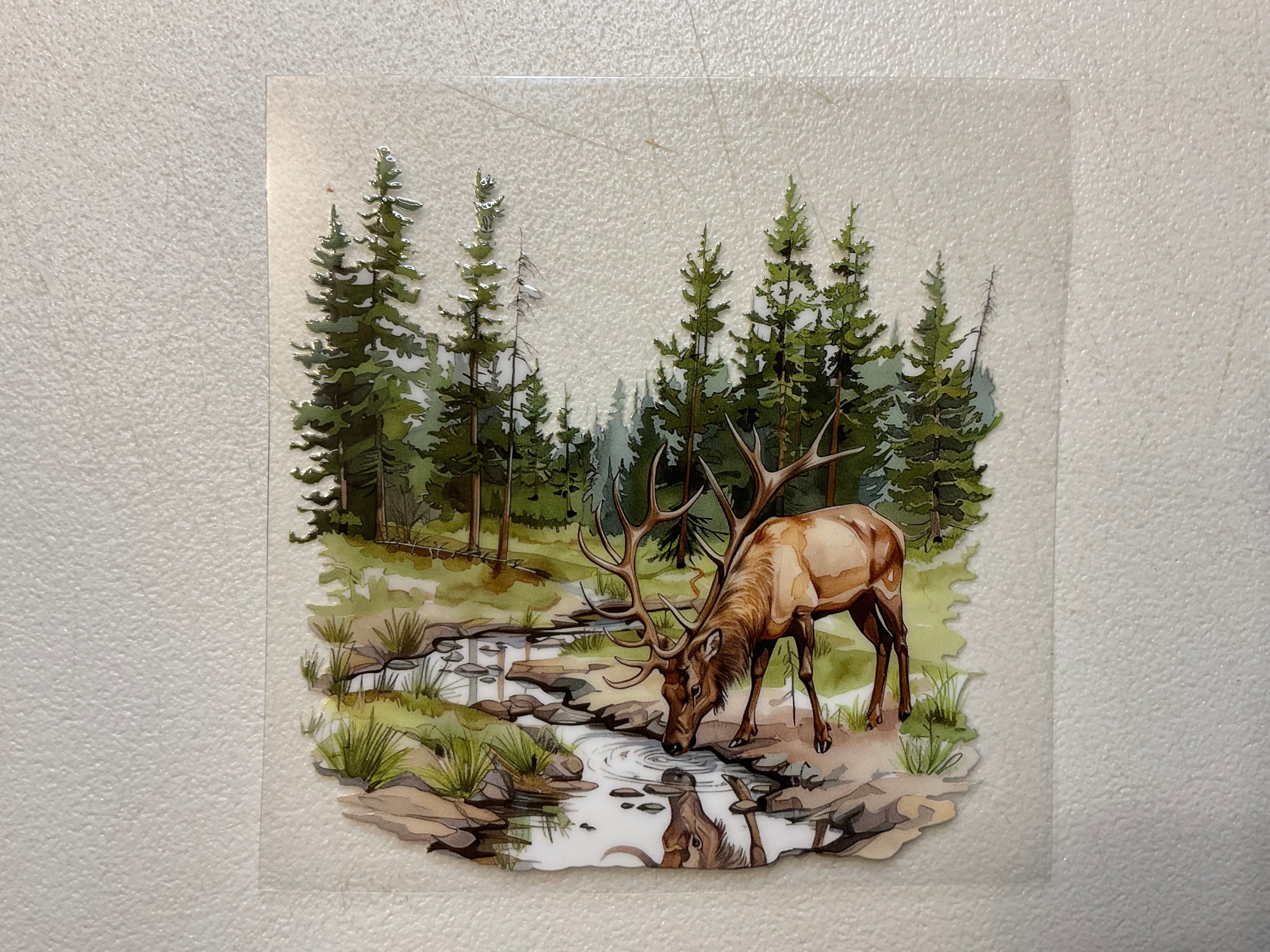A131 Elk 1