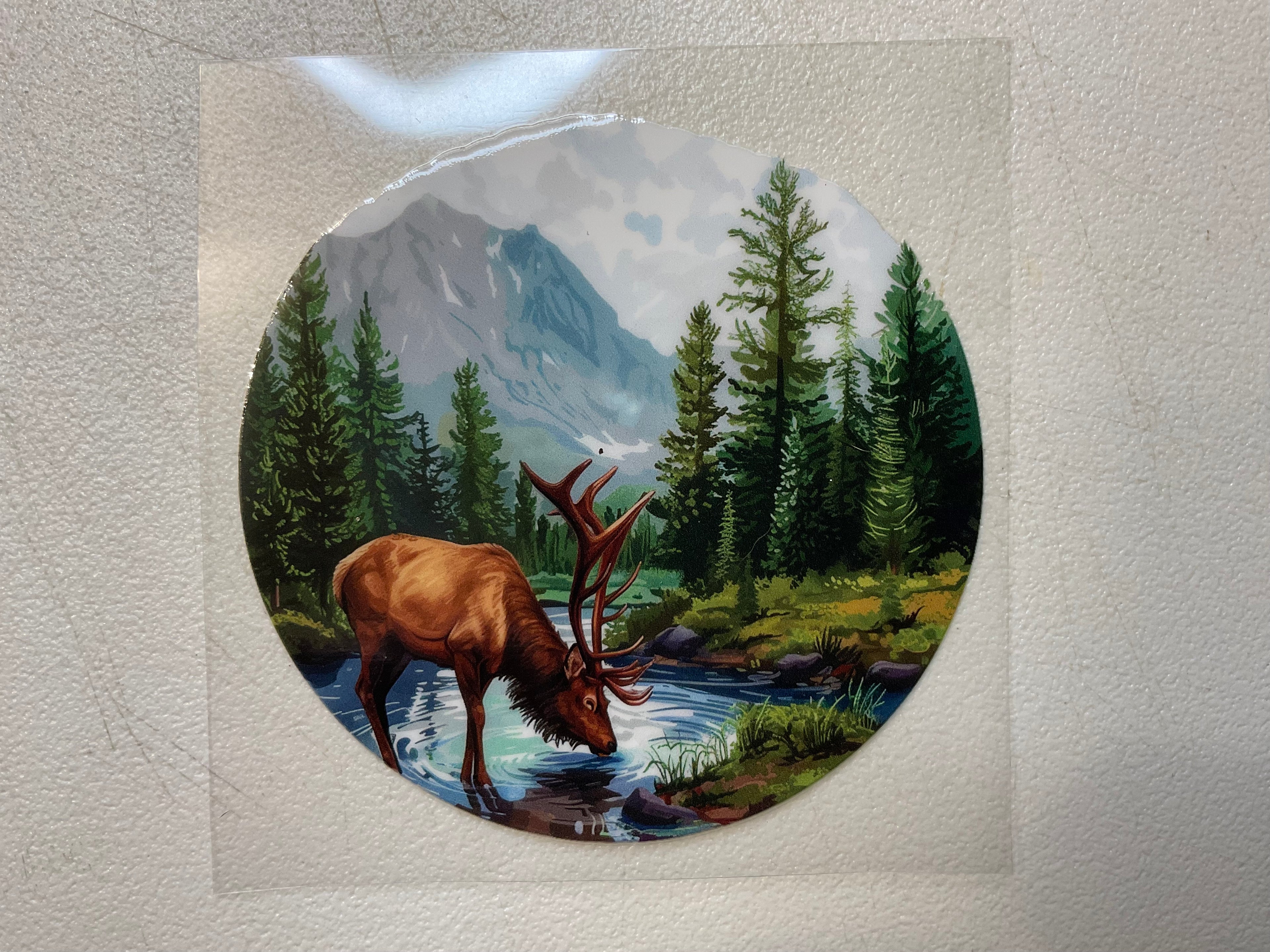 A132 Elk 2