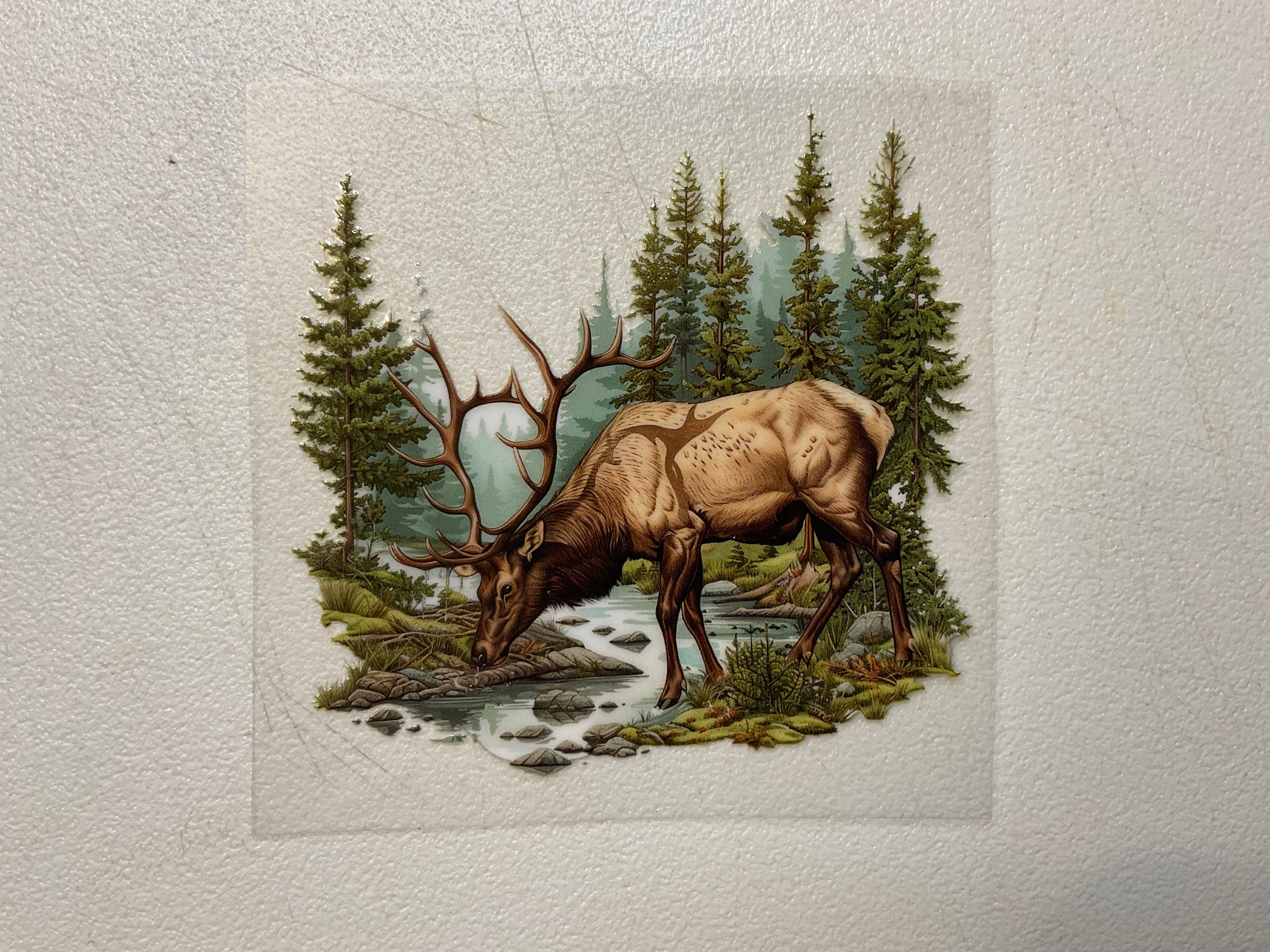 A134 Elk 4