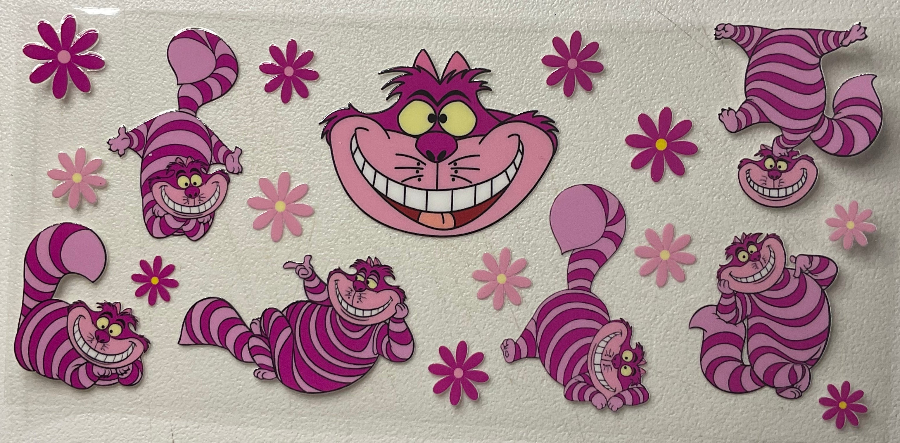 C - Cheshire Cat