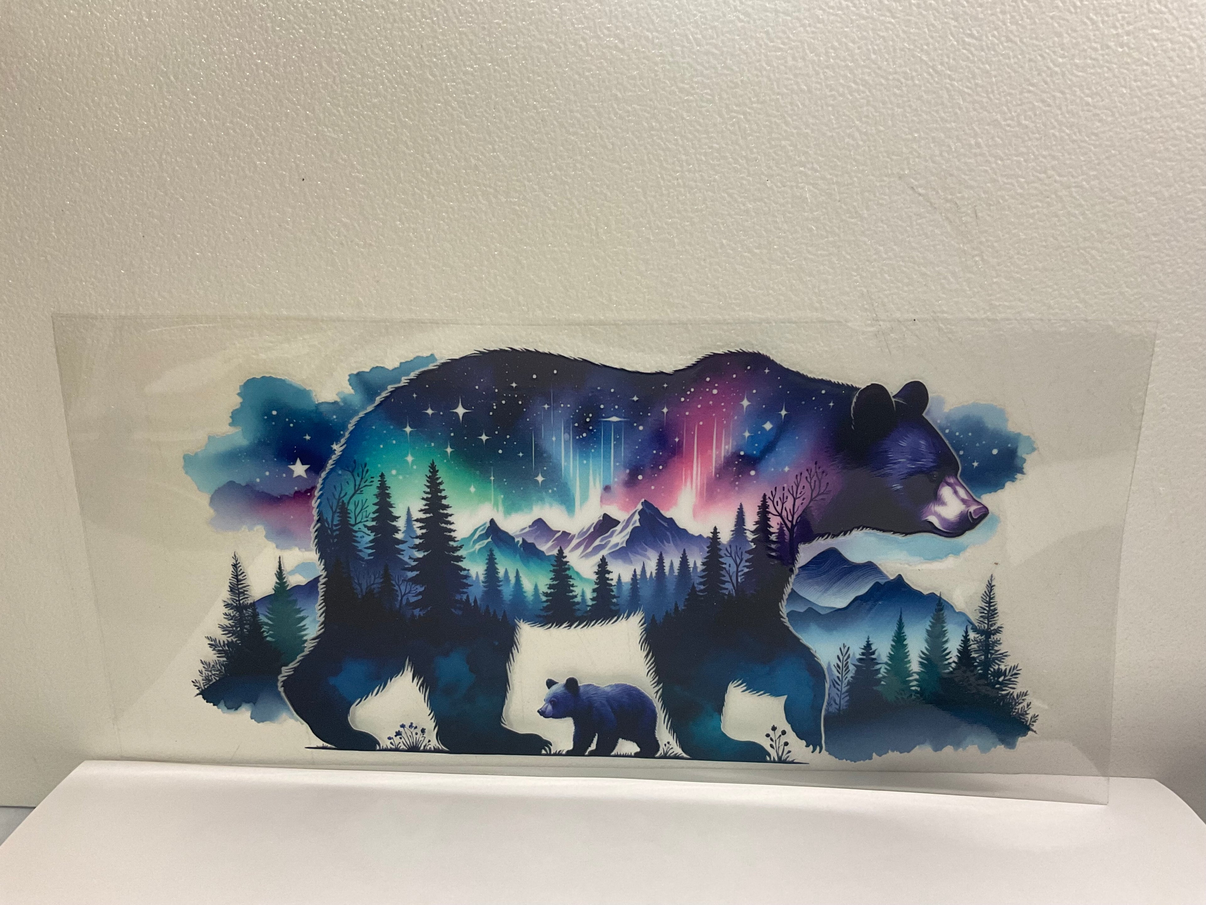 A - Northern lights bear