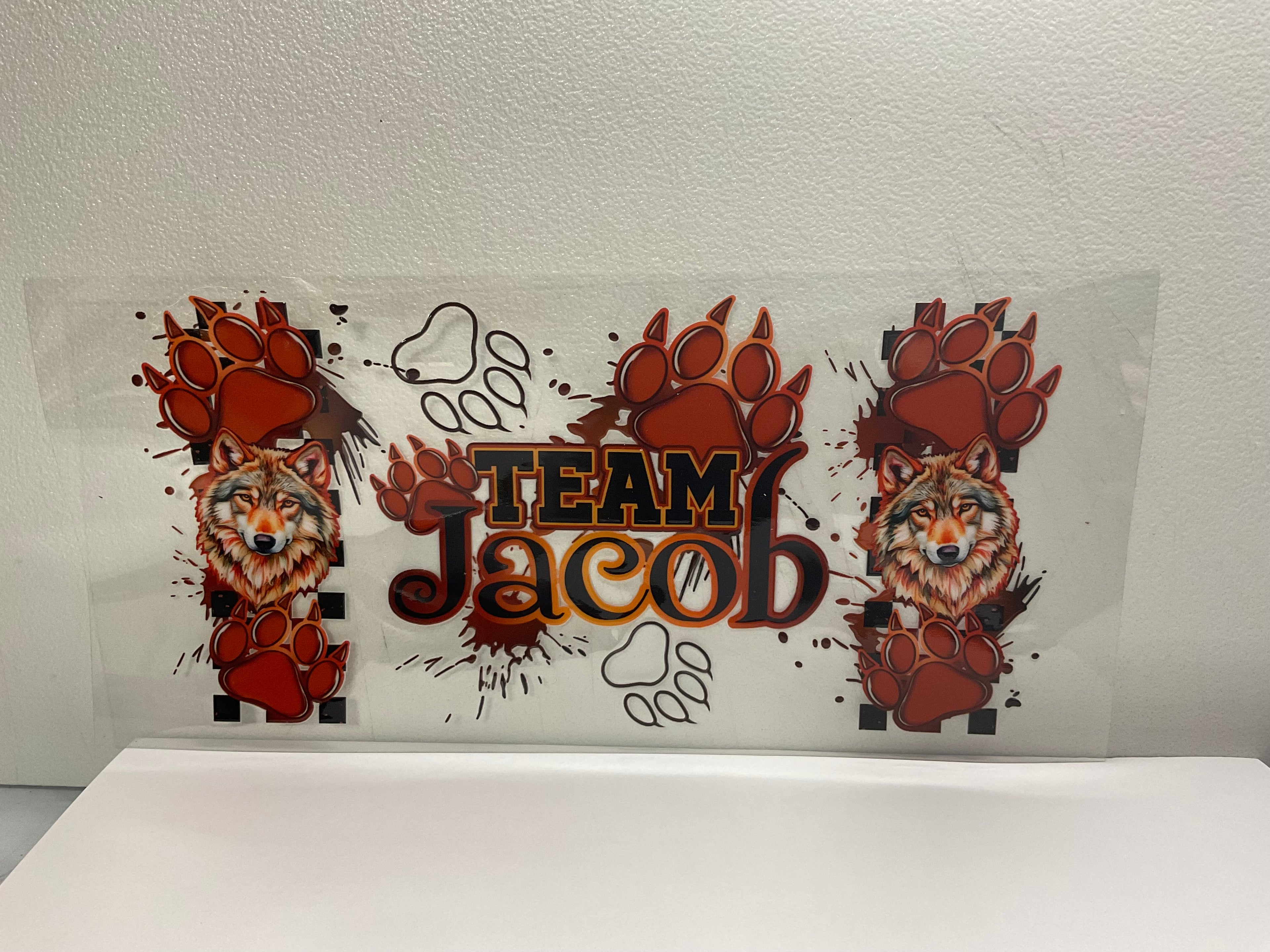 TV - Twilight - Team Jacob